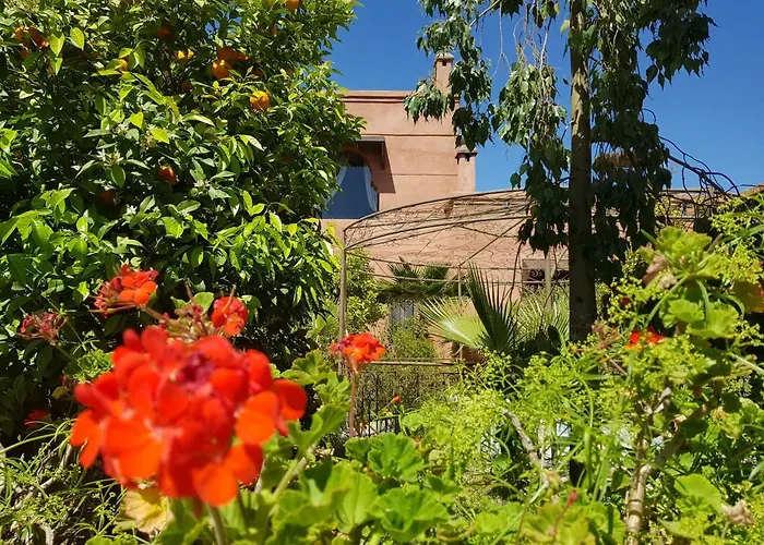 Ksar Salha
