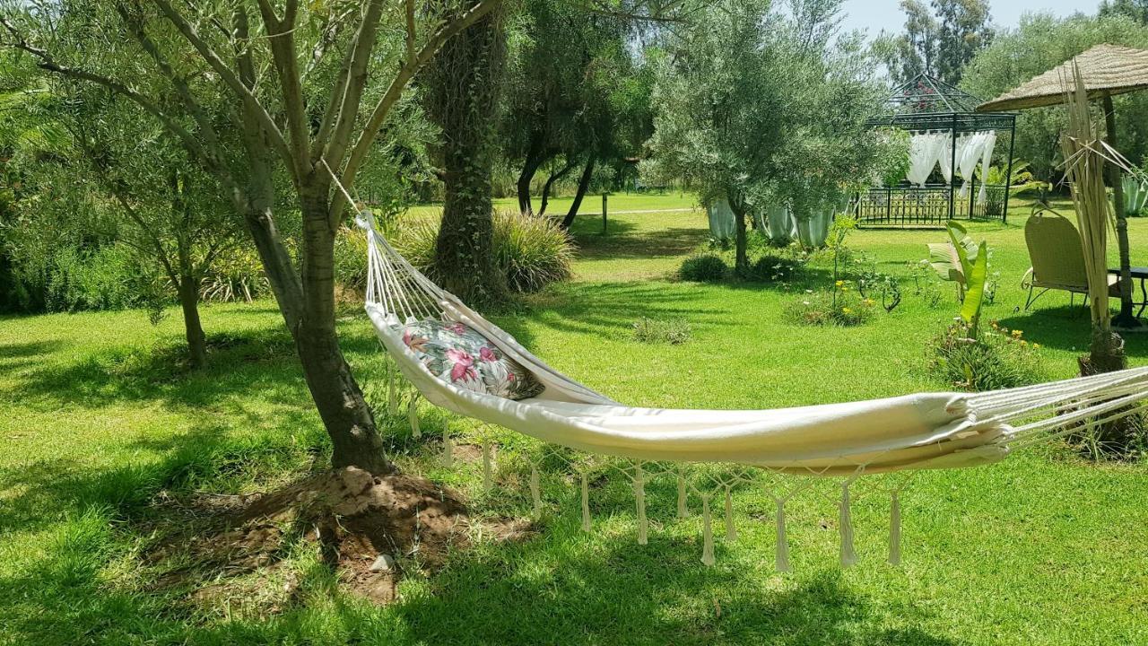 Guest house Ksar Salha Douar Draa