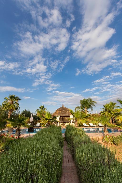 Ksar Salha Guest house 4*