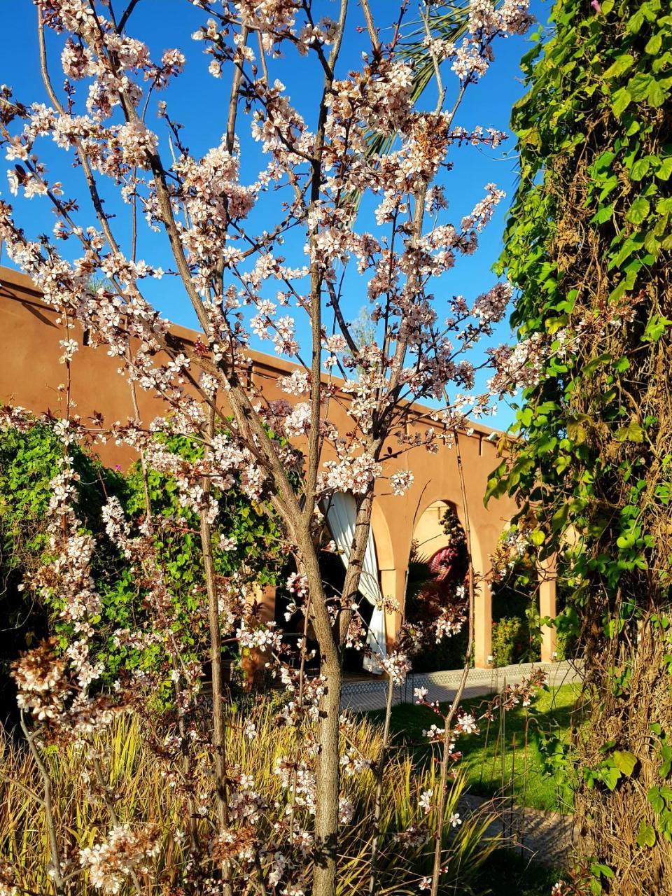 Ksar Salha Guest house Douar Draa